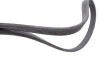 Ремінь генератора VW T5 1.9TDI/VW Caddy III 1.9TDI/2.0 (6DPK1195) HUTCHINSON 1195 KDF 6 (фото 2)