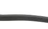 Ремень генератора VW Golf 1.0/1.6 09- HUTCHINSON 1200 SK 6 (фото 2)