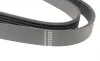 Ремень генератора VW Golf 1.0/1.6 09- HUTCHINSON 1200 SK 6 (фото 3)