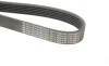 Ремень генератора Fiat Scudo 2.0 D Multijet/Citroen Jumpy/Peugeot Expert 2.0 HDi (6PK1220) HUTCHINSON 1220 K 6 (фото 5)