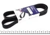 Ремінь генератора Mazda 3/5/6 2.0 DI/CD 02-10 (8PK1225) HUTCHINSON 1225 K 8 (фото 1)