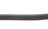 Ремінь генератора Renault Laguna 2.0 95-01 (6PK1240) HUTCHINSON 1237 K 6 (фото 2)