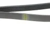Ремінь генератора Renault Laguna 2.0 95-01 (6PK1240) HUTCHINSON 1237 K 6 (фото 3)