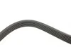 Ремінь генератора Citroen Jumpy 2.0HDI 10- (6PK1245) HUTCHINSON 1245K6 (фото 2)
