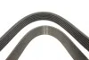 Ремінь генератора Citroen Jumpy 2.0HDI 10- (6PK1245) HUTCHINSON 1245K6 (фото 3)