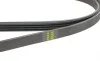 Ремень генератора Renault Megane I 1.6e/1.4i/1.6i 96-03 HUTCHINSON 1270 K 4 (фото 4)
