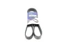 Ремень генератора VW T4 2.8VR6 00-03 (7PK1281) HUTCHINSON 1281 K 7 (фото 1)