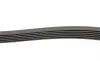 Ремень генератора VW Golf/VW Bora 2.3 -00 (6PK1285) HUTCHINSON 1285 K 6 (фото 2)
