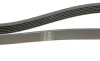 Ремень генератора VW Golf/VW Bora 2.3 -00 (6PK1285) HUTCHINSON 1285 K 6 (фото 3)