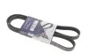 Ремень генератора VW Passat B5/Audi A4/A6 1.6/1.8 95- (5PK1300) HUTCHINSON 1300 K 5 (фото 1)