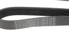 Ремінь генератора Fiat Doblo 1.3D Multijet/1.3JTD/Ford Focus 1.8/2.0 04- (6PK1310) HUTCHINSON 1310K6 (фото 2)