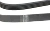 Ремень генератора Opel Corsa D 1.2/1.4 06-14 (5PK1335) HUTCHINSON 1335 K 5 (фото 3)