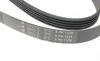 Ремень генератора Opel Corsa D 1.2/1.4 06-14 (5PK1335) HUTCHINSON 1335 K 5 (фото 4)