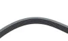 Ремень генератора Opel Astra/Corsa 1.0/1.2/1.4 00-/Suzuki Wagon R 1.0/1.2 04-05 (5PK1355) HUTCHINSON 1355 K 5 (фото 4)