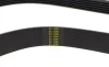 Ремень генератора Citroen Berlingo 1.6HDI 08- (6PK1360) HUTCHINSON 1360 K 6 (фото 4)