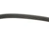 Ремінь генератора Ford Transit 2.0 94-00 (6PK1414) HUTCHINSON 1414K6 (фото 2)