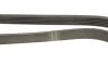 Ремінь генератора Ford Transit 2.0 94-00 (6PK1414) HUTCHINSON 1414K6 (фото 3)