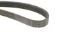 Ремінь генератора Ford Transit 2.0 94-00 (6PK1414) HUTCHINSON 1414K6 (фото 4)