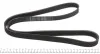 Ремень генератора Ford Connect 1.8Di/TDCi 02-08 (6PK1425) HUTCHINSON 1425 K 6 (фото 2)