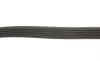 Ремень генератора Citroen Berlingo/Fiat Scudo 1.9D (6PK1435) HUTCHINSON 1435 K 6 (фото 4)