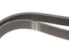 Ремень генератора Audi A4 1.6-2.0 00-08 (6PK1570) HUTCHINSON 1570 K 6 (фото 3)