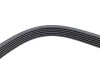 Ремень генератора VW Crafter 2.0TDI 06- (6PK1610) HUTCHINSON 1610 K 6 (фото 4)