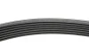 Ремінь генератора BMW 5 (E39)/7 (E38) 3.5i/4.0i 93-04 HUTCHINSON 1626 K 7 (фото 2)