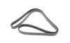 Ремень генератора Audi 80/A6/A8 2.8 94-05/Ford Transit 2.5DI/TD 91-00 (6PK1630) HUTCHINSON 1630 K 6 (фото 5)