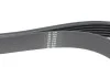 Ремень генератора VW LT 2.8TDI (-AC) HUTCHINSON 1636K6 (фото 3)