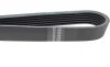 Ремень генератора VW LT 2.8TDI 96KW/Ford Transit 2.0DI 00-14 (6PK1637) HUTCHINSON 1637 K 6 (фото 3)
