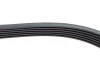 Ремень генератора VW LT 2.8TDI 96KW/Ford Transit 2.0DI 00-14 (6PK1637) HUTCHINSON 1637 K 6 (фото 4)