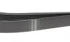 Ремень генератора BMW 5 (E39)/7 (E38) 3.5i/4.0i 96-03 (7PK1635) HUTCHINSON 1637K7 (фото 3)