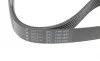 Ремень генератора BMW 5 (E39)/7 (E38) 3.5i/4.0i 96-03 (7PK1635) HUTCHINSON 1637K7 (фото 4)