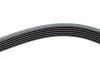 Ремінь генератора VW LT 2.8TDI 96KW/Ford Transit 2.0DI 00-14 (6PK1642) HUTCHINSON 1642 K 6 (фото 4)