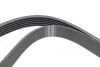 Ремень генератора Renault Megane I/Ford Transit 2.0 94-00 (6PK1650) HUTCHINSON 1650 K 6 (фото 3)