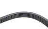 Ремень генератора Renault Megane I/Ford Transit 2.0 94-00 (6PK1650) HUTCHINSON 1650 K 6 (фото 4)