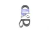 Ремень генератора Renault Megane I/Ford Transit 2.0 94-00 (6PK1650) HUTCHINSON 1650 K 6 (фото 1)