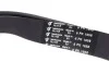 Ремень генератора Fiat Scudo/Citroen Berlingo/VW Golf IV 1.8/1.9TDI 97- (6PK1658) HUTCHINSON 1658 K 6 (фото 3)