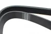 Ремень генератора Fiat Scudo/Citroen Berlingo/VW Golf IV 1.8/1.9TDI 97- (6PK1660) HUTCHINSON 1660 K 6 (фото 2)