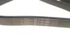 Ремень генератора Fiat Doblo 1.3/1.6D 10-/Ducato 2.2D/Ford Transit 2.2TDCI 06- (6PK1669) HUTCHINSON 1669 K 6 (фото 4)