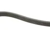 Ремінь генератора Fiat Scudo 1.9D/Ford Escort 1.6/1.8i (6PK1674) HUTCHINSON 1674 K 6 (фото 3)