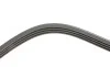 Ремень генератора Toyota Yaris 1.0 99-05 HUTCHINSON 1707 K 4 (фото 4)