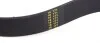 Ремень генератора VW LT 2.5TDI -06/T4 2.5 91-03/Ford Connect 1.8 TDCi 02-07 (6PK1715) HUTCHINSON 1715 K 6 (фото 3)