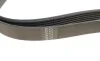 Ремінь генератора VW LT 2.5TDI -06/T4 2.5 91-03/Ford Connect 1.8 TDCi 02-07 (6PK1718) HUTCHINSON 1718 K 6 (фото 3)