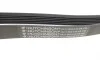 Ремінь генератора VW LT 2.5TDI -06/T4 2.5 91-03/Ford Connect 1.8 TDCi 02-07 (6PK1718) HUTCHINSON 1718 K 6 (фото 4)
