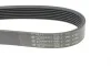 Ремінь генератора Honda CR-V 2.0 01-06 HUTCHINSON 1730 K 7 (фото 4)