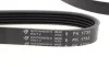 Ремень генератора Kia Cerato/Rio 1.5-1.6 CRDI 05-11 HUTCHINSON 1732 K 5 (фото 3)
