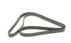 Ремінь генератора Ford Connect 1.8TDCi 06-14/Citroen C5 2.0HDi 00- (6PK1745) HUTCHINSON 1745 K 6 (фото 1)