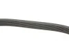 Ремінь генератора Ford Connect 1.8TDCi 06-14/Citroen C5 2.0HDi 00- (6PK1745) HUTCHINSON 1745 K 6 (фото 2)