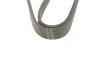 Ремінь генератора Ford Connect 1.8TDCi 06-14/Citroen C5 2.0HDi 00- (6PK1745) HUTCHINSON 1745 K 6 (фото 3)